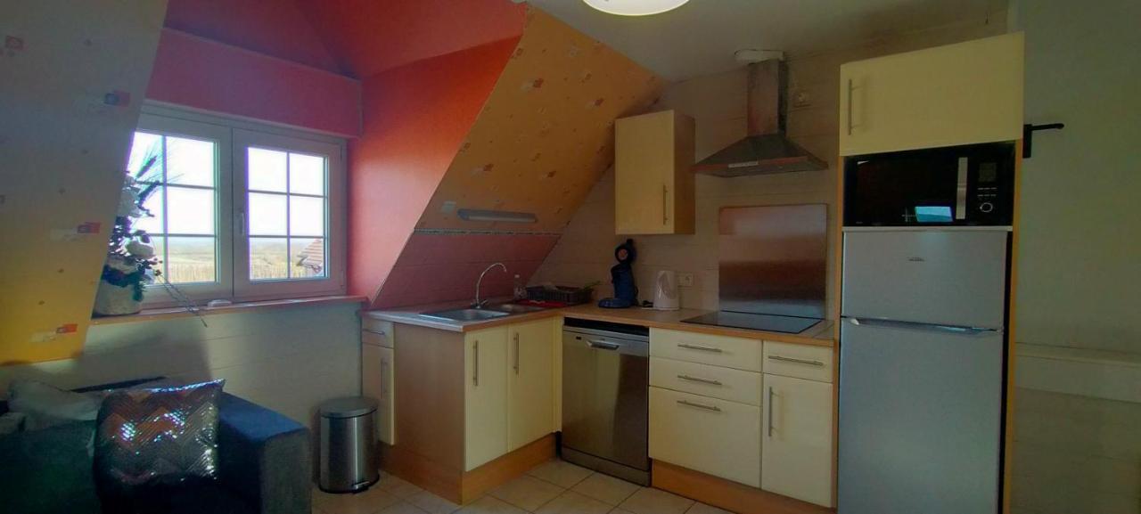 Le Clos Des Vignes Apartment Blienschwiller ภายนอก รูปภาพ